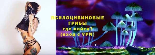 ешки Армянск