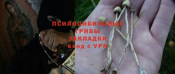 ешки Армянск