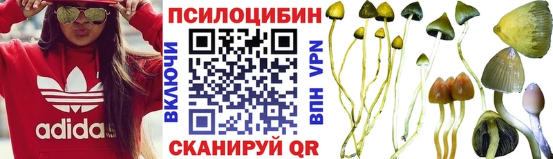 купить наркотик  Лермонтов  Псилоцибиновые грибы Psilocybe 